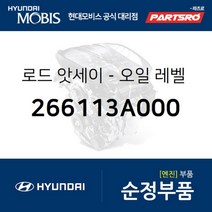 로드-오일 레벨 게이지 (266113A000)-현대모비스 부품 공식대리점 온라인쇼핑몰 파츠로 베라크루즈