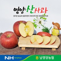 경북 영양농협 사과 10kg 미세기스 60과내외꼬마사과, 단품