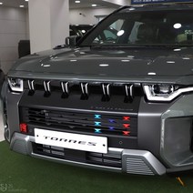 [JS AUTOMOTIVE] 쌍용 토레스 J100 프론트범퍼 그릴커버 스티커 패드 인테리어 튜닝 몰딩 악세사리 용품, 나비디자인-D.프랑스(운전석)