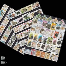희귀 우표 세계 각국의 다양한 국가 공룡 곤충 오래된 1940-1990 년 수집가 116038, 고양이