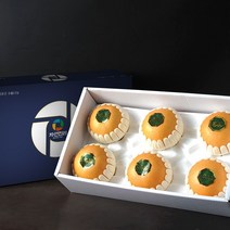 자연진리 나주배 신고배 명절 과일선물세트, 1박스, 5kg 6-8과