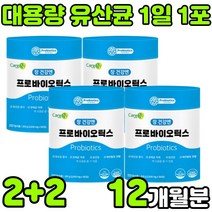 락토바실러스 플란타럼 람노서스 퍼멘텀 가세리 루테리 애시도필러스 멀티 PROBIOTICS 프로이 프로 프리 바이오 틱스 텍스 스틱 분말 가루 온가족 패밀리 부모님 중년 여성 청소년, 4통(12개월분)
