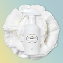 리노베라 피톤치드 편백수 스프레이 새집증후군 진드기 퇴치제, 1개, 500mL