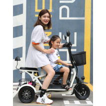 3인승 초경량 전기자전거 통근 등하원 3륜 접이식 자전거, 600W 듀얼전기자전거 15A/40km 3인승