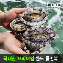 이츠올릿 국내 완도 활 전복 1kg 키트 자연산 선물 세트 기장 제주, 활전복 1kg(7-8미)