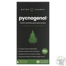 뉴트라챔프 피코노게놀 100mg 베지캡슐 1병, 삼키기 쉬운 베지캡슐 1병