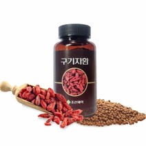 조선제약 혈관청소제 구기자환 100g 1병