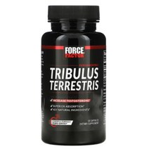 미국 포스펙터 Force Factor 브리뷸러스 Tribulus, 1개, 500mg / 60캡슐