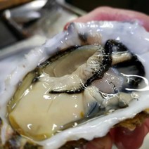 [굴철철] 멍게1kg 외 제철수산물 해물파티, 1개, 삼배체굴2kg대