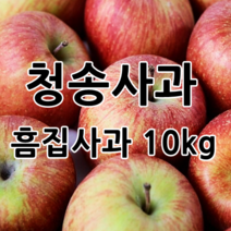 [산지직송] 청송사과 10kg 실속 사과 농부네 부부농장, 1박스, 02.실속 흠집사과10kg 혼합과 (20과~35과내외)