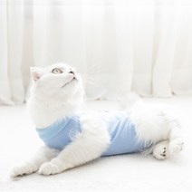 도튼 고양이 환묘 중성화복 수술복 중성화옷 그루밍방지, 핑크
