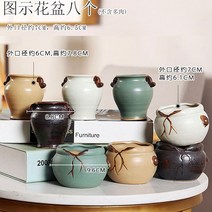 다육화분 다육이 심폴 화분 식물 미니 화분세트, 도자기, 옵션25