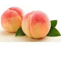 [허니솝] 플레이버오일 3종 (딸기 복숭아 체리 플레이버오일) 20ml 50ml 100ml 립밤만들기 화장품 DIY재료, F76. 복숭아 플레이버오일 100ml