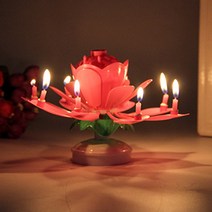 라이프공방 촛불멜로디연꽃초 생일축하 멜로디생일초, 8촛불, 원형판멀티