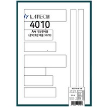 레이테크 A4정부문서용 폼텍(3629) 호환 100매