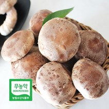 [더자연] 산해리 경북 영양 무농약 버섯 착한 송이 500g 중품, 상세 설명 참조