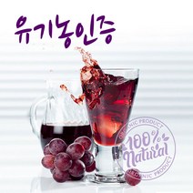 임산부 온가족 쥬스 포도액기스 유기농 포도즙 90ml x 30포