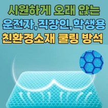 [1+1 친환경 소재]밸런스 쿨링 실리콘 방석 2컬러(미끄럼 방지 커버증정), 민트 2개 (커버증정)