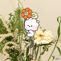 비비에 BT21 포토프롭 해피플라워 알제이(RJ)