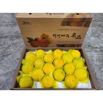제주직송 고당도 제주 서귀포 황금향 선물세트, 중소과, 1개, 2kg
