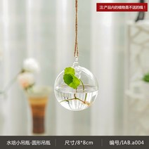 인테리어 유리화병 벽걸이 크리스탈 행인 꽃병 수생식물, 트럼펫물방울
