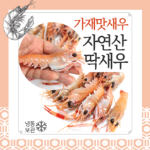 남해안 제주도 해역 자연산 딱새우 대사이즈 1kg 구이용 찜용 찌개용 각종 새우 요리 가재맛 새우, 1kg 딱새우(대사이즈) 40미 좌우