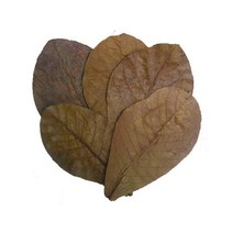 베타알몬드잎5장 탄토라알몬드잎