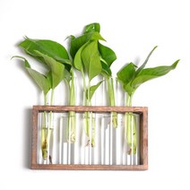 깨진 유리에 물 테라리움, 02 Big