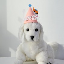 강아지 고양이 벌쓰데이 생일 꼬깔 모자(핑크 시바견), One color