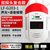 일산화탄소 경보기 가스 감지기 탐지기 가정용 배터리식 매연 방지 공동 누출, Double Probe Compound 일산화탄소