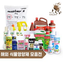 식물 영양제 해외 식물 영양제 반려식물 홈가드닝 텃밭 필수 영양제, 하이포넥스 탑퀄리티, 레이쇼원액 160ml