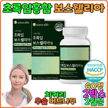 초록입 보스웰리아 오메가3 비타민B12 우슬 치커리 초록입홍합 AKBA KBA 인도산 분말 글루코사민 관절 연골 영영제 뼈건강 추천 보충제 무릎관절 관절연골 boswellia