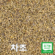 산들바람 2022년산 국산 유기농 차조 500g, 1개
