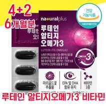 식약청 식약처 인증 인정 루테인 알티지 오메가3 캡슐 캡술 눈 건강 기능성 루데인 루테린 누태인 류테인 비타민 좋은 음식 홈쇼핑 뻑뻑 침침 흐릿 공시생 수험생 학생 직장인 중년, 4+2 6개월분 - 다니마켓