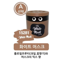 숲속의 자연클래스 젤타입 / 보타니컬 식물성오일함유 (3종 향선택) 젤타입 일본직수 일본차량용방향제 차량용품사이트 일본방향제 일본차량방향제 환경부 초록누리 안전기준 적합상품, A-선택: 화이트 머스크 15281