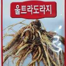 [가람종묘사] 울트라도라지 씨앗(슈퍼도라지 재래종보다 재배기간이 단축되고 생산량이 많은 슈퍼도라지)