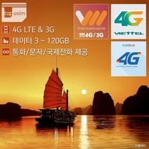 베트남유심, 비나폰(윈텔) 8일 데이터 무제한 + 1터미널, 1개