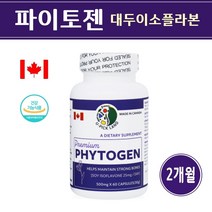 식약처인증 대두 추출물 이소플라본 여성 갱년기 영양제 식물성 에스트로겐 호르몬 효능 40대 50대 60대 중년 여자 우먼 레이디 추천 파이토젠, 500mg*60캡슐(2개월분)