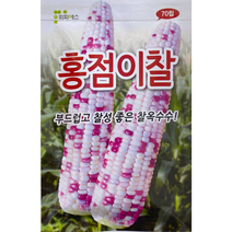홍점이찰옥수수씨앗70립