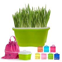 새싹보리 재배기 키트(부직포 가방 증정!), 기본구성+새싹보리 500g