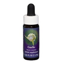 FES 퀸테센셜스 갈릭 7.5ml FES Quintessentials Garlic 7.5ml, 1개