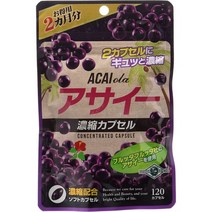 서플리먼트 ウエルネスジャパン 아사이 농축 캡슐 덕용 2개월분 120알 B00CW65UKA, One Size, One Color