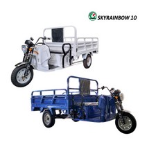전기화물차 삼륜전동스쿠터 수동덤프 삼륜전기차 전기스쿠터 덤프 SR-10 신일테크, 파란색