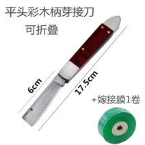 원예공구 꺾꽂이 칼 도구 굵은 가지 받다 나무 싹 과수 분재 깎다 목 특급 전업 핸드메이드 신기 3758475523, 상고머리 채목용자루 꺾꽂이 칼 _막
