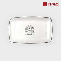[다이소]TS바이스직사각접시(약30cm)-1013877