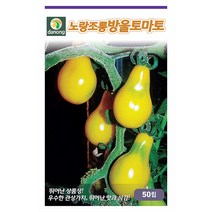 그린비타 풋고추 50립 - 씨 씨앗 오이고추 아삭이고추 고추씨앗 고추씨 채소씨 채소씨앗 오이고추씨앗 아삭이고추씨앗, 12_다농_노랑 조롱방울토마토(50립)