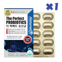 50대 엄마 아빠 포스트 프리 바이오틱스 100억 유산균 60캡슐X1박스, 1개, 60정