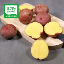 [전대표] 2023년 서산 유기농 홍감자 3kg 5kg(size혼합) / 산지직송 카스테라감자, 1개