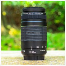 망원렌즈 Canon EF 75-300mm F/4-5.6 III 망원 Canon EOS 1300D 650D 700D 60D 70D 80D 6D 7D 5D2 5D3 T3i T5i, 01 캐논 ef-s, 01  ef-s