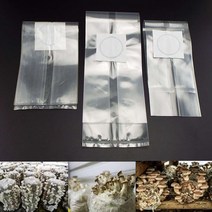 식물재배기 스마트팜 수경재배기 파종트레이 10x18x35cm 버섯 성장 가방 냄비 화분 온도 pvc 플라스틱 정원 심기 도구, [07] 320X500mm bag